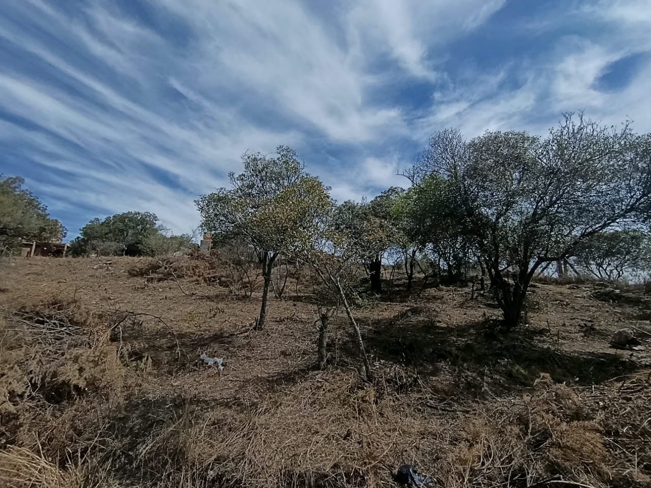 Terreno en Tanti. 786 mts. Todos los servicios c/escritura